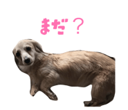 855598826