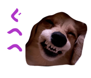 855598829