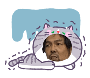 855599099