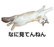 855599314