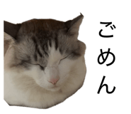 855599320