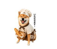 855599386