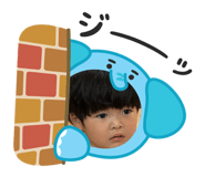 855599916