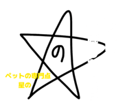 855600077