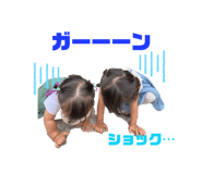 855600116