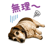855600134