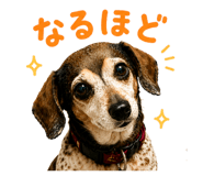 855600135