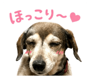 855600140