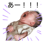 855600153