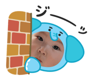 855600262
