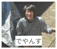 855600331