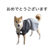 855600611
