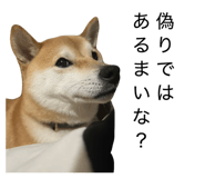 855600627