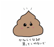 855600833