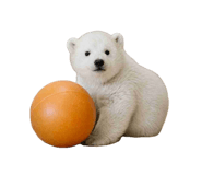 855600948