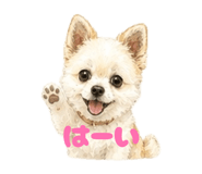 855601132