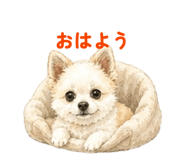 855601134