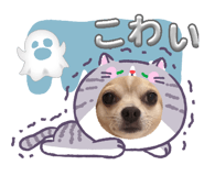 855601148
