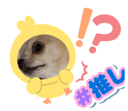 855601151