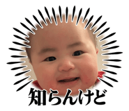 855601233