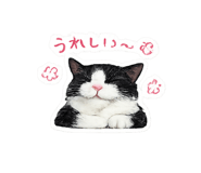 855601445