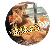 855601614