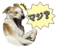 855601982