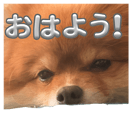 855602009