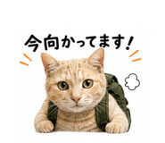 855602031