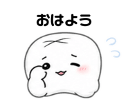 855602077