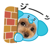 855602092