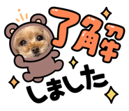 855602093