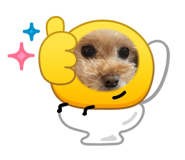 855602103
