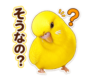 855602121