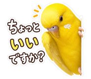855602128