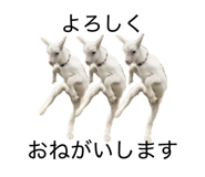 855602134