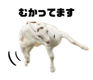 855602135