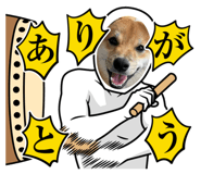 855602434