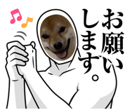855602438