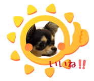 855602503
