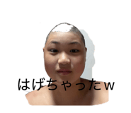 855602523