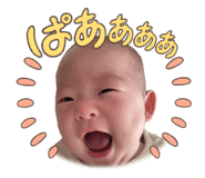 855602601