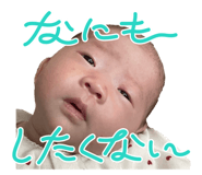 855602621