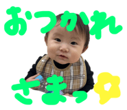 855602818