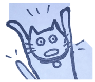 855603028