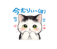 855603820