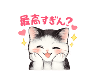 855603823