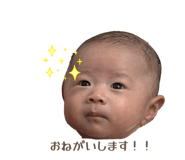 855603987