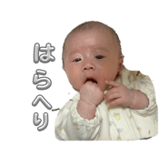 855603991