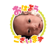 855604075